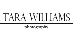 513-320-2356